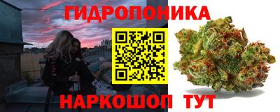 ПСИЛОЦИБИНОВЫЕ ГРИБЫ Новокубанск