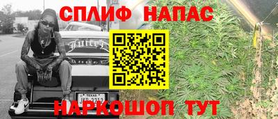 стаф Новодвинск