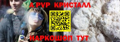 стаф Новодвинск